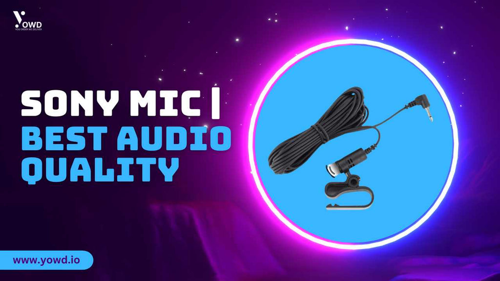 Sony Mic | Best Professional-Grade Cardioid Microphone