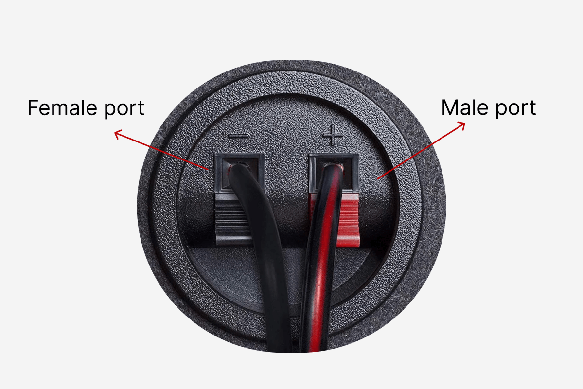 Best Speaker Cable 3